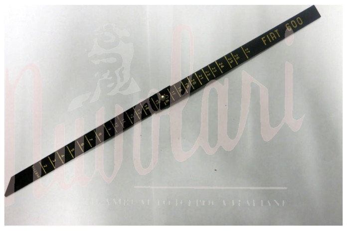 ASTA LIVELLO BENZINA