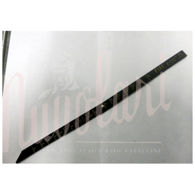 ASTA LIVELLO BENZINA