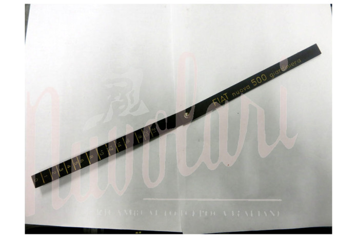 ASTA LIVELLO BENZINA