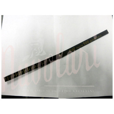 ASTA LIVELLO BENZINA