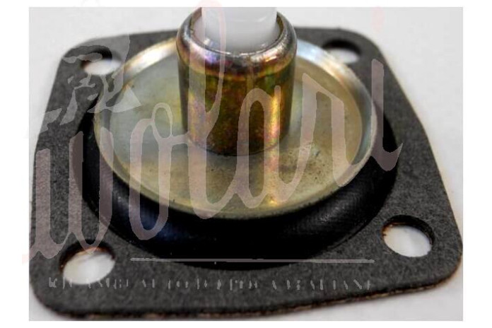 MEMBRANA POMPETTA RIPRESA 40 DCNF 13