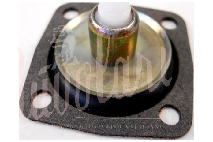 MEMBRANA POMPETTA RIPRESA WEBER 40 DCNF 13