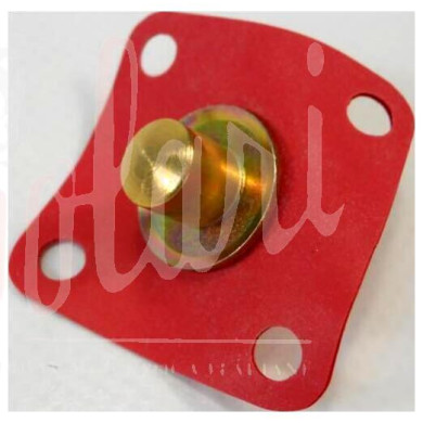 MEMBRANA POMPETTA RIPRESA SOLEX