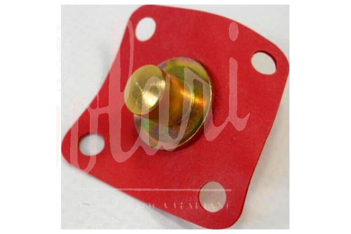 MEMBRANA POMPETTA RIPRESA SOLEX