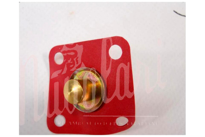 MEMBRANA POMPETTA RIPRESA SOLEX