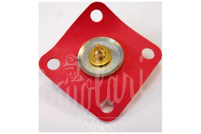 MEMBRANA POMPETTA RIPRESA SOLEX