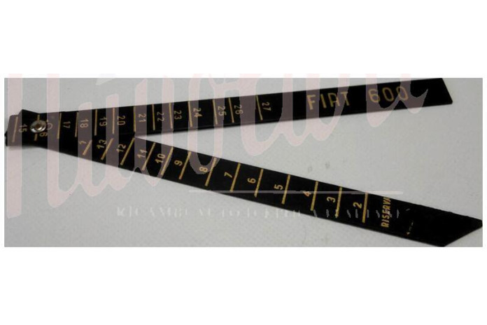 ASTA LIVELLO BENZINA