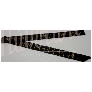 ASTA LIVELLO BENZINA