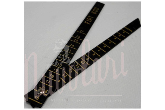 ASTA LIVELLO BENZINA