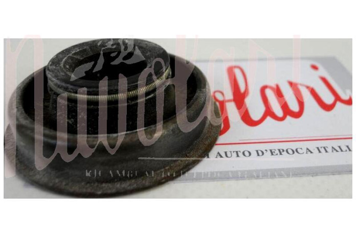 PARAOLIO ANTERIORE CAMBIO