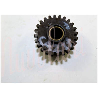 INGRANAGGIO CAMBIO 1/RM19/24 DENTI