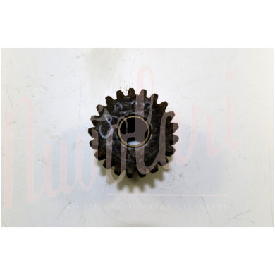 INGRANAGGIO RM DENTI 21D.56