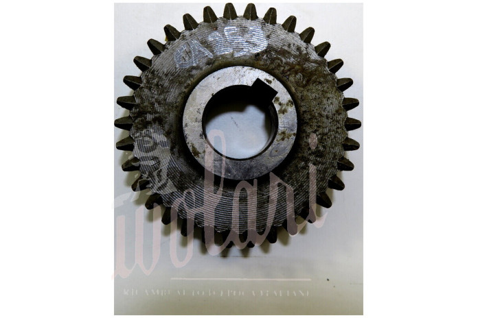 INGRANAGGIO RETROMARCIA