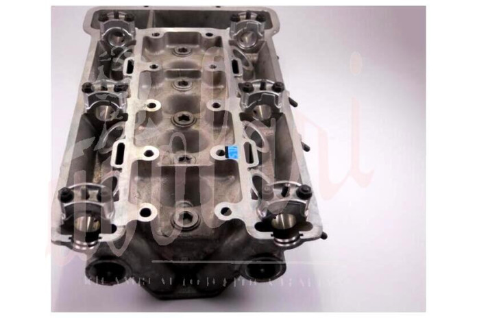 TESTA CILINDRI C/VITINECOPERCHIO