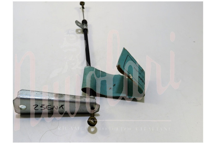 CAVO ACCELERATORE CON STAFFA