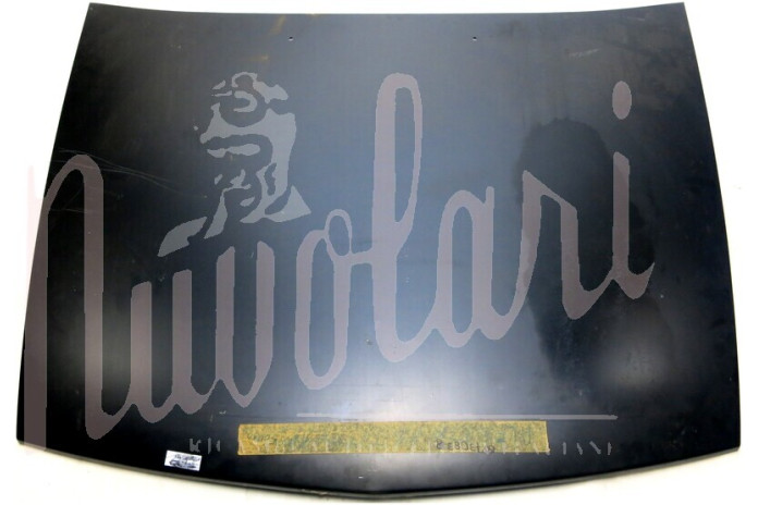 COFANO ANTERIORE ORIGINALE