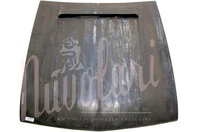 COFANO ANTERIORE USATO