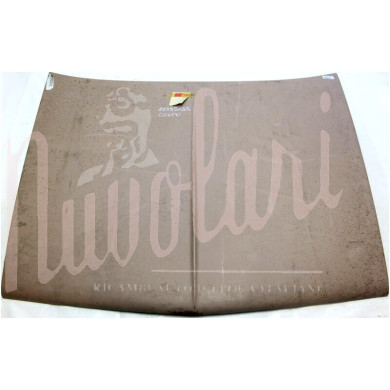 COFANO ANTERIORE ORIGINALE USATO