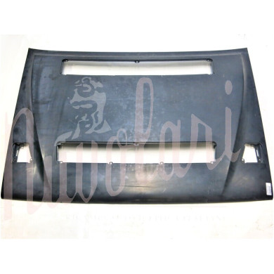 COFANO ANTERIORE ORIGINALE