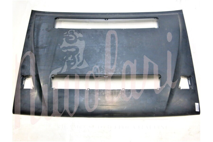 COFANO ANTERIORE ORIGINALE