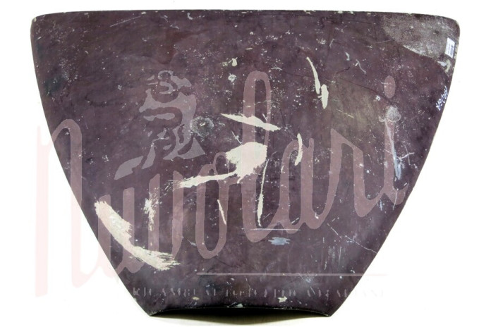 COFANO ANTERIORE USATO