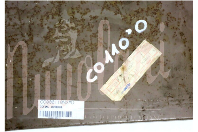 COFANO ANTERIORE