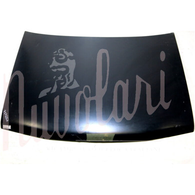 COFANO ANTERIORE ORIGINALE