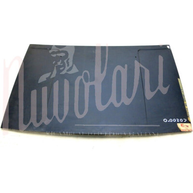 COFANO ANTERIORE 2 FORIC/SPRUZZO TERGI