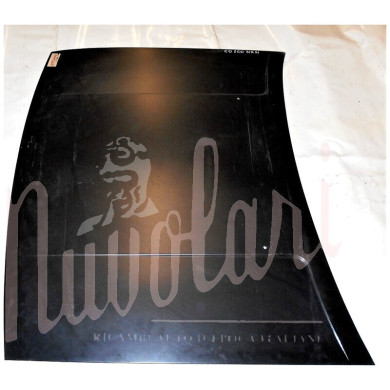 COFANO ANTERIORE 2 FORIC/SPRUZZO TERGI