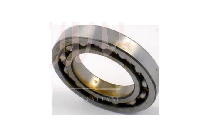 CUSCINETTO PERNO OSCILLANTE RUOTE ANTERIORI