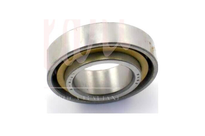 CUSCINETTI PER REGG FRIZIONE