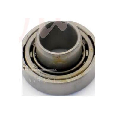 CUSCINETTO ALBERTO TRASMISSIONE