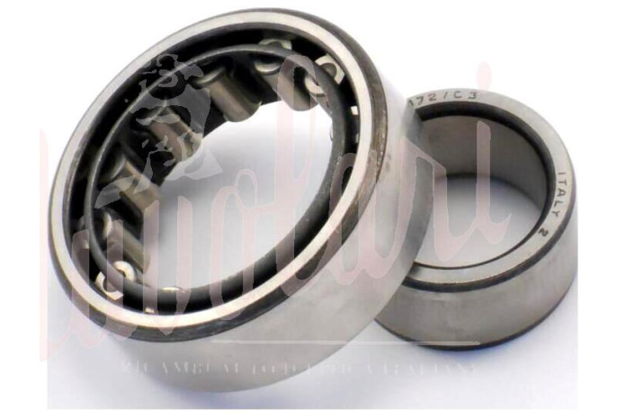 CUSCINETTO ESTERNO MOZZI RUOTE POSTERIORI