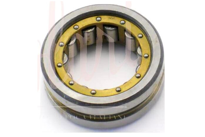 CUSCINETTO POSTERIORE ALBERO RINVIO CAMBIO