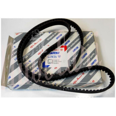 CINGHIA DISTRIBUZIONE