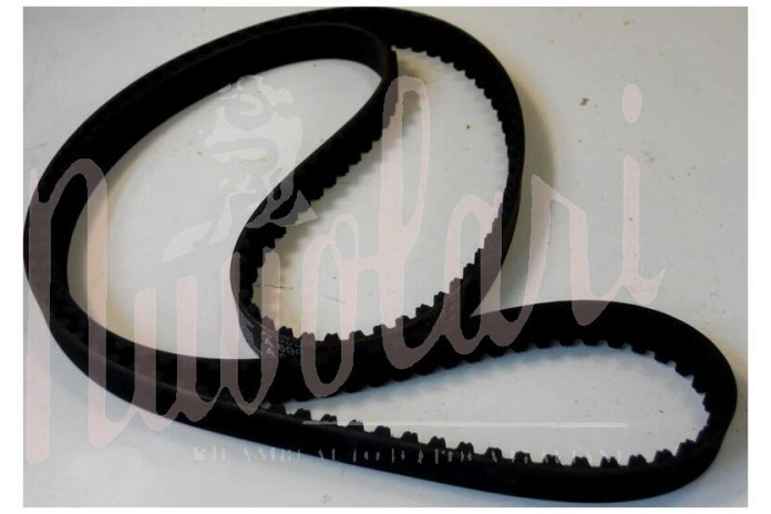 CINGHIA DISTRIBUZIONE