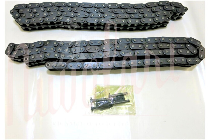 CATENA DISTRIBUZIONE REGINA COPPIA