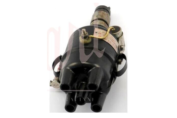 SPINTEROGENO M.MARELLI S81B