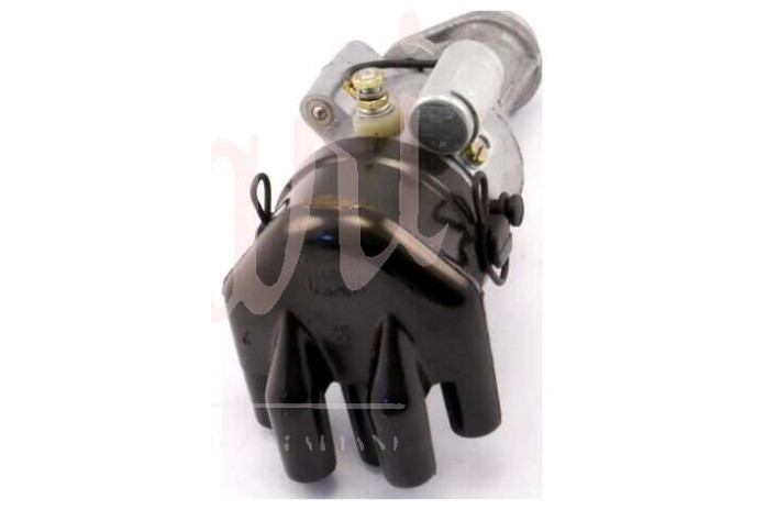 SPINTEROGENO M.MARELLI S83CK