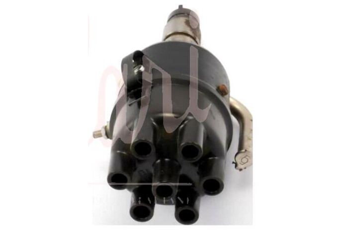 SPINTEROGENO M.MARELLI S93A