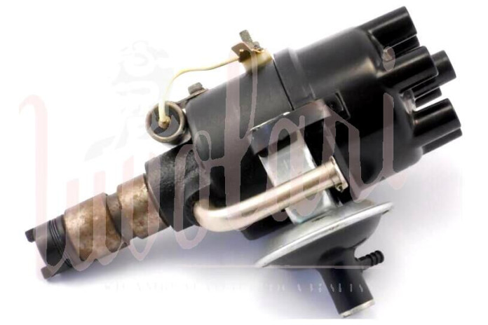 SPINTEROGENO M.MARELLI S94A