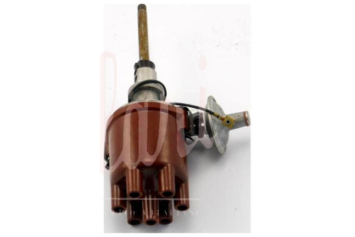 SPINTEROGENO M.MARELLIS96AC FILO VERDE