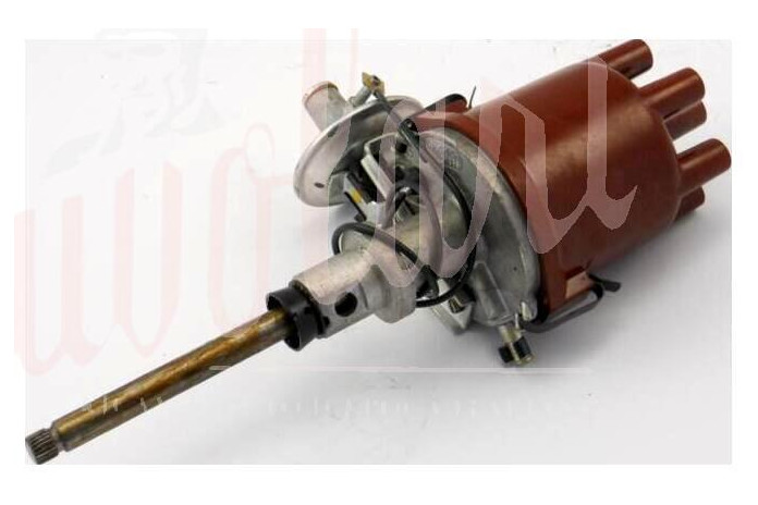 SPINTEROGENO M.MARELLIS96AC FILO VERDE