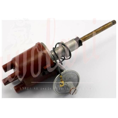 SPINTEROGENO M.MARELLIS96AC FILO VERDE