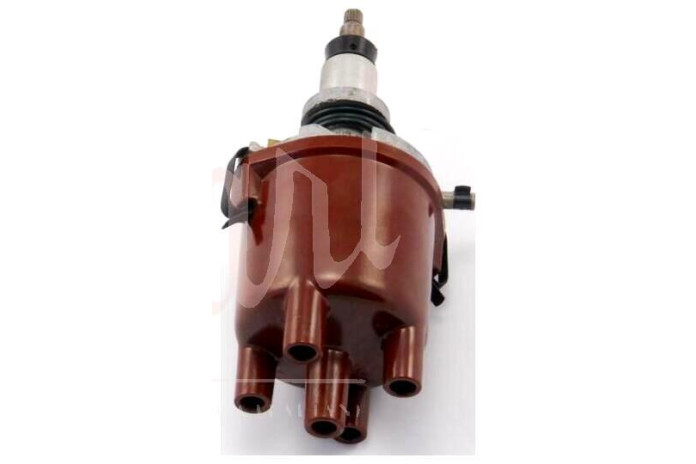 SPINTEROGENO M.MARELLI S106AC