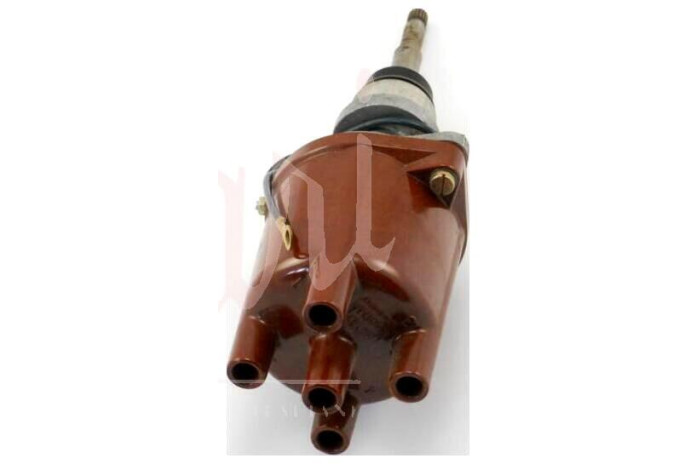 SPINTEROGENO M.MARELLI S124B