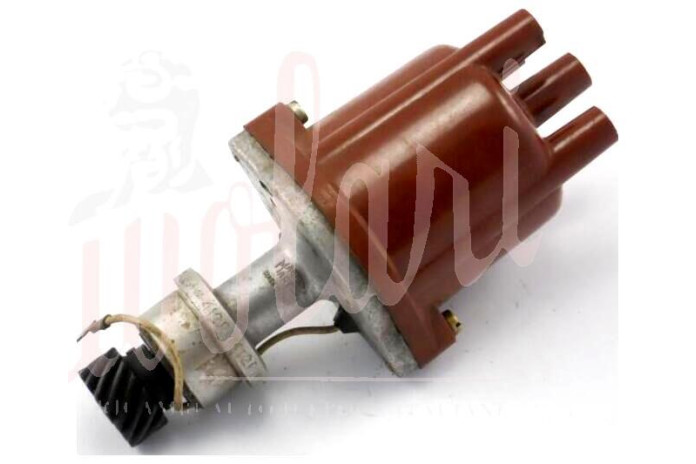 SPINTEROGENO M.MARELLI S134G