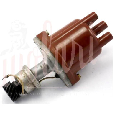 SPINTEROGENO M.MARELLI S134G