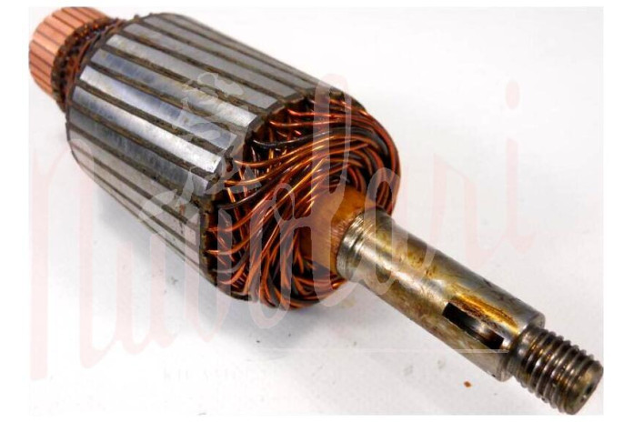 INDOTTO DINAMO BOSCH 160/200/12 VOLT