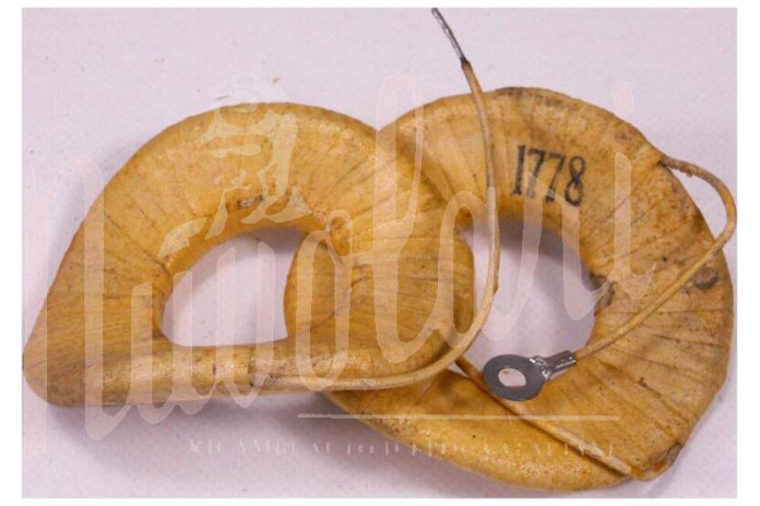 CAMPI DINAMO M.M CAPICORDA + FILO A SALDARE 180/12 VOLT